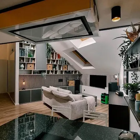 Industrial Style Loft Near Center Apartment *