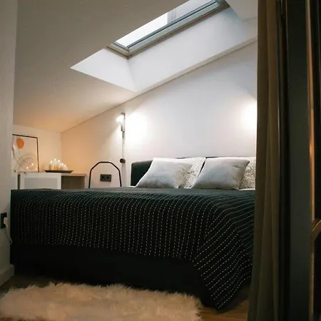 Industrial Style Loft Near Center Kaunas
