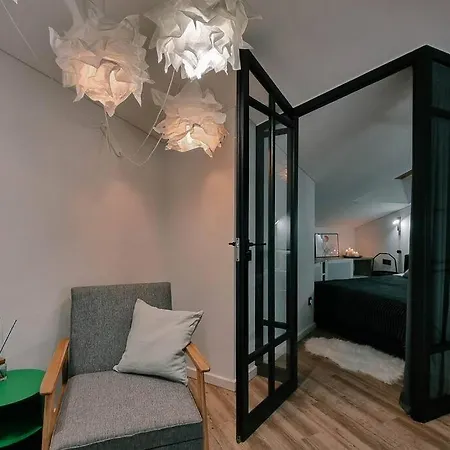 Industrial Style Loft Near Center Apartment *