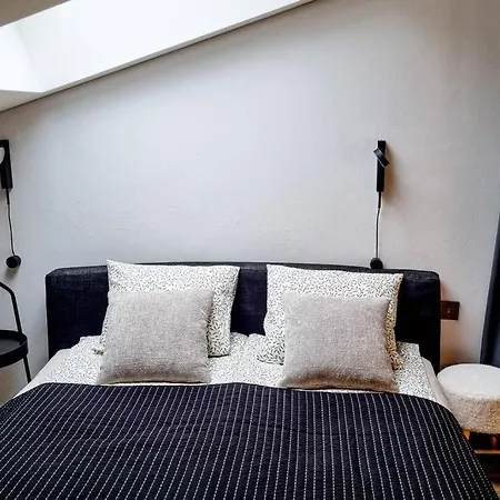 Apartment Industrial Style Loft Near Center Kaunas