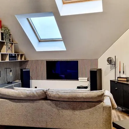 Industrial Style Loft Near Center Apartment Kaunas