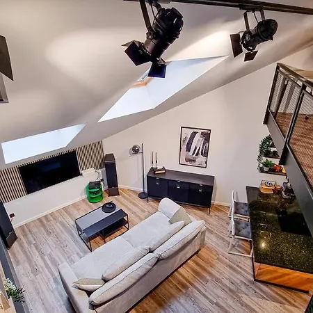 Industrial Style Loft Near Center Apartment