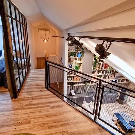 Industrial Style Loft Near Center Apartment Kaunas