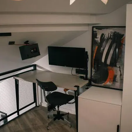 Industrial Style Loft Near Center Apartment *