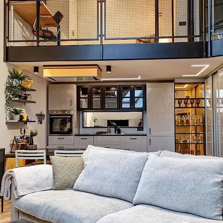 Industrial Style Loft Near Center Apartment