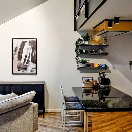 Industrial Style Loft Near Center Kaunas