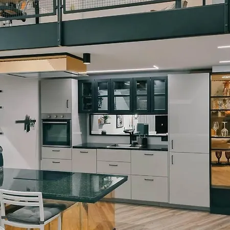 Industrial Style Loft Near Center Kaunas