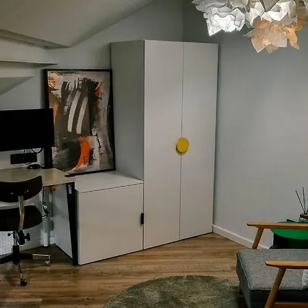Industrial Style Loft Near Center Kaunas