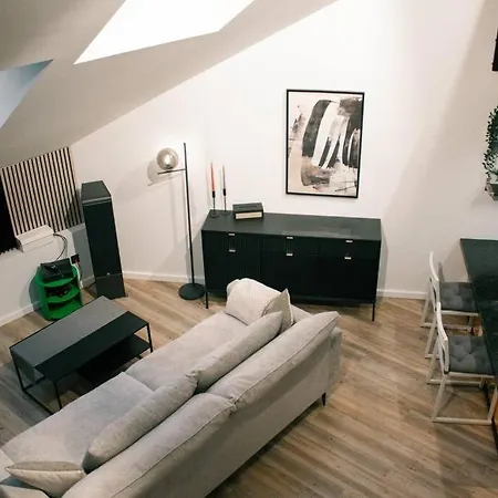 Industrial Style Loft Near Center Apartment