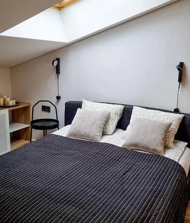 Industrial Style Loft Near Center Kaunas